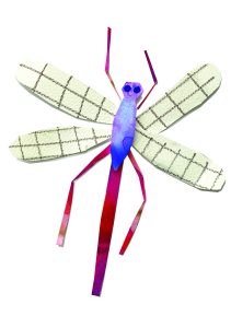 Dragonfly - collage by Sam Groom