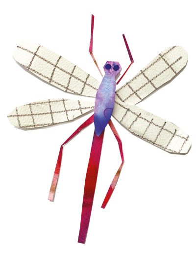 Dragonfly - collage by Sam Groom
