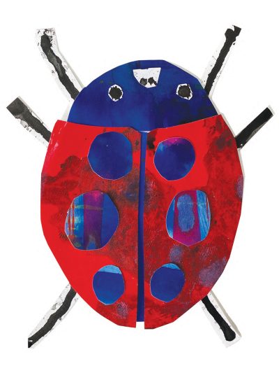 ladybird image