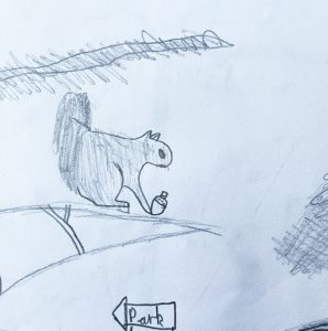 A drawing of a squirrel by a KS2 child