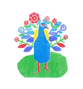 Peacock print