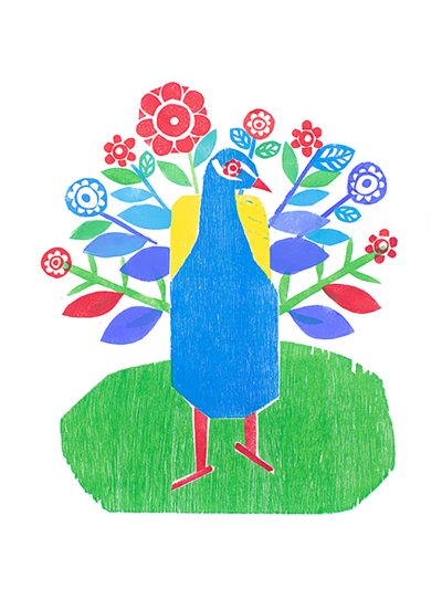Peacock print