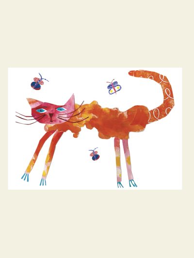 Cat main image